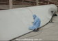 فرمول راهنمای پوشش محافظ تیغه لبه پیشرو 2 آسیاب بادی